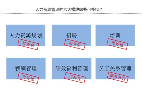 人力资源管理外包与咨询服务的深度解析