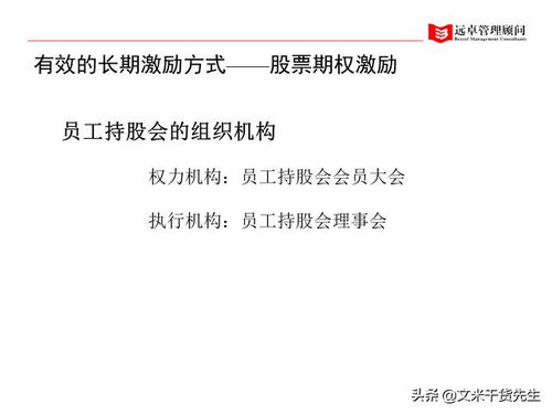 人力资源管理全面提升 系统化咨询服务的客户案例精析