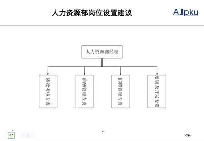 北京华北光学仪器人力资源管理诊断报告